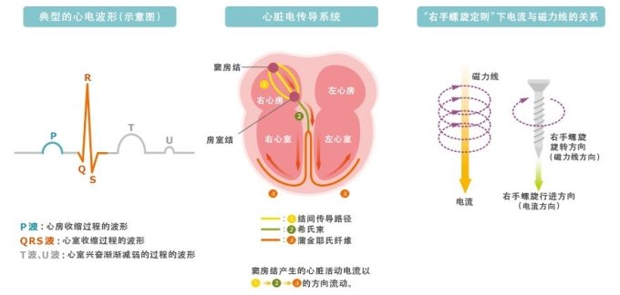 MR生物磁性传感器的特点以及各种应用解析