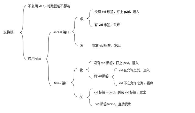 交换机Access口与Trunk口的基本概念