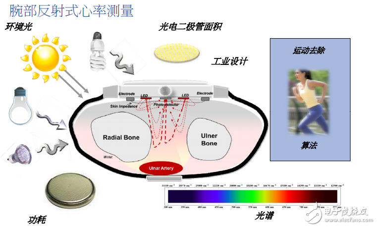 光电法测量心率与血氧含量